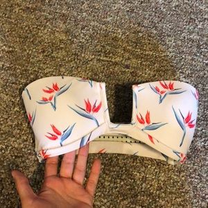 Acacia birds of paradise top size small